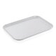 WAS Tablett fiberglasverstärkt, 45,5 x 35,5 cm, grau, Polyester, Tray 97 Serie